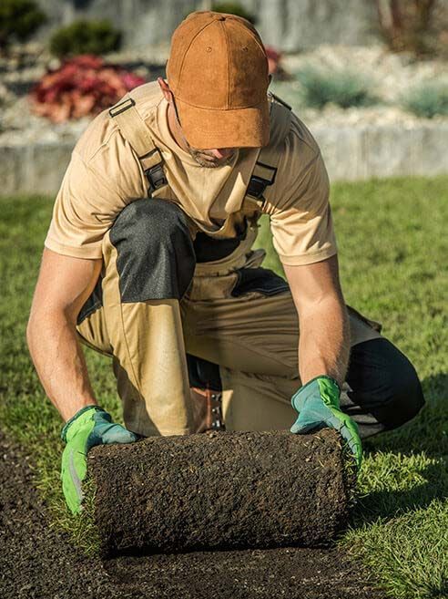 Gorman & Sons landscaper laying fresh sod