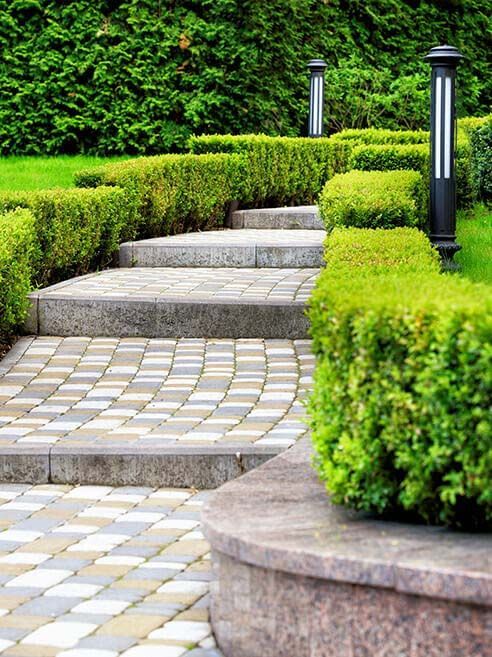 Paver garden steps lined with manicured hedges